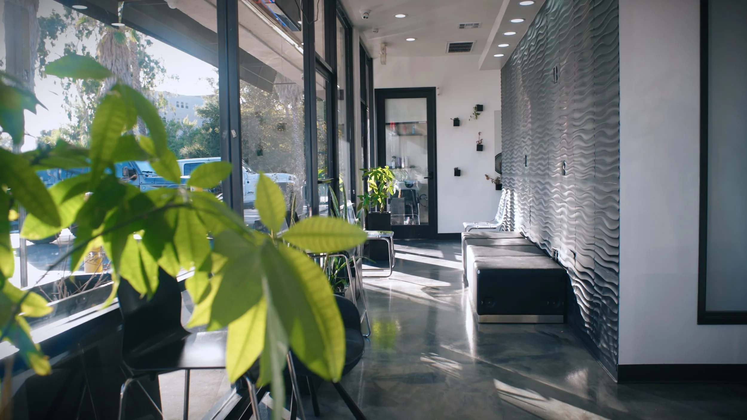 Bright, modern salon suite hallway with plants and floor-to-ceiling windows.